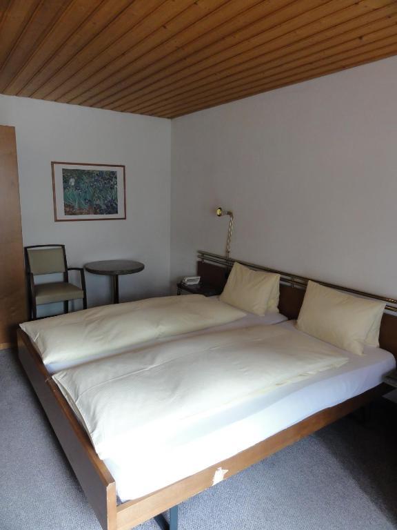 Hotel Steinbock Grindelwald Extérieur photo